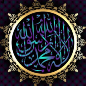 Profile photo of Abubakar Mohamed